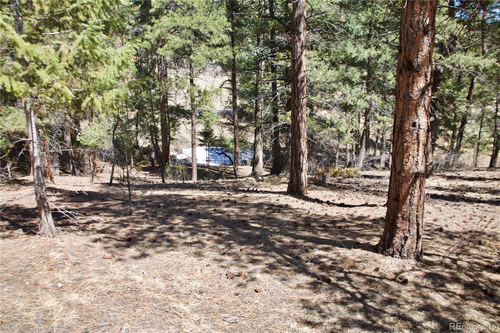 33378 Jenifer Road Pine, CO 80470 - Photo 11 of 20 Gallery Image 11