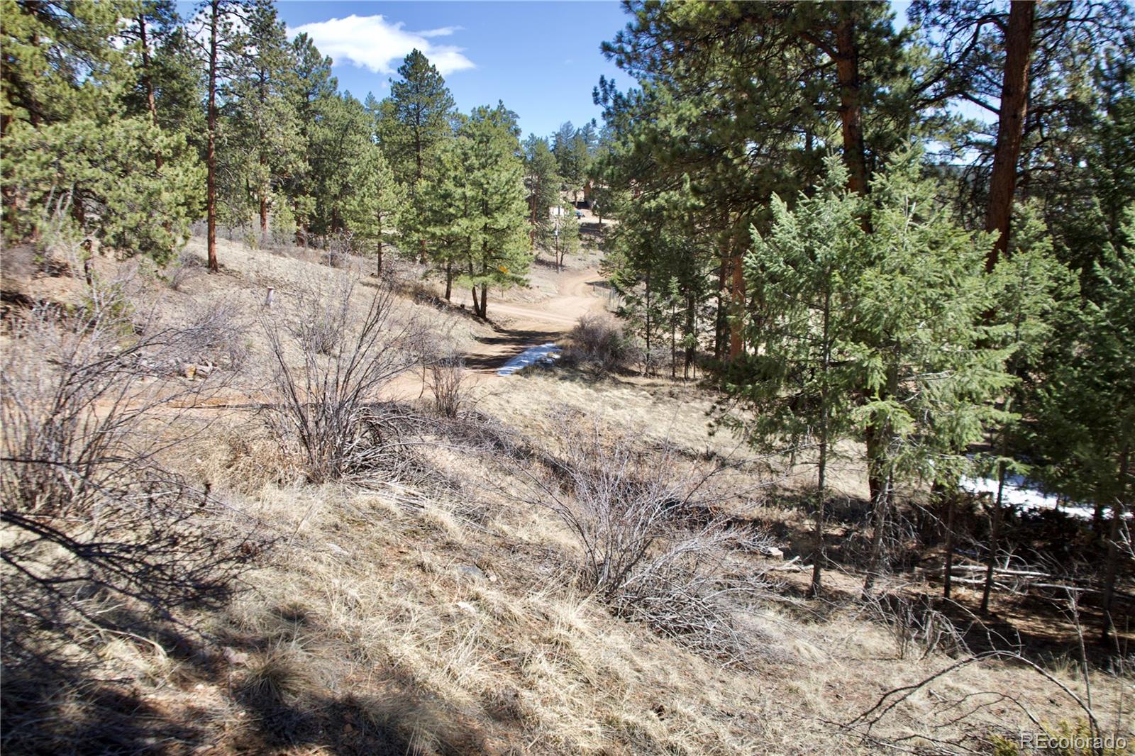 33378 Jenifer Road Pine, CO 80470 - Photo 12 of 20 Gallery Image 12