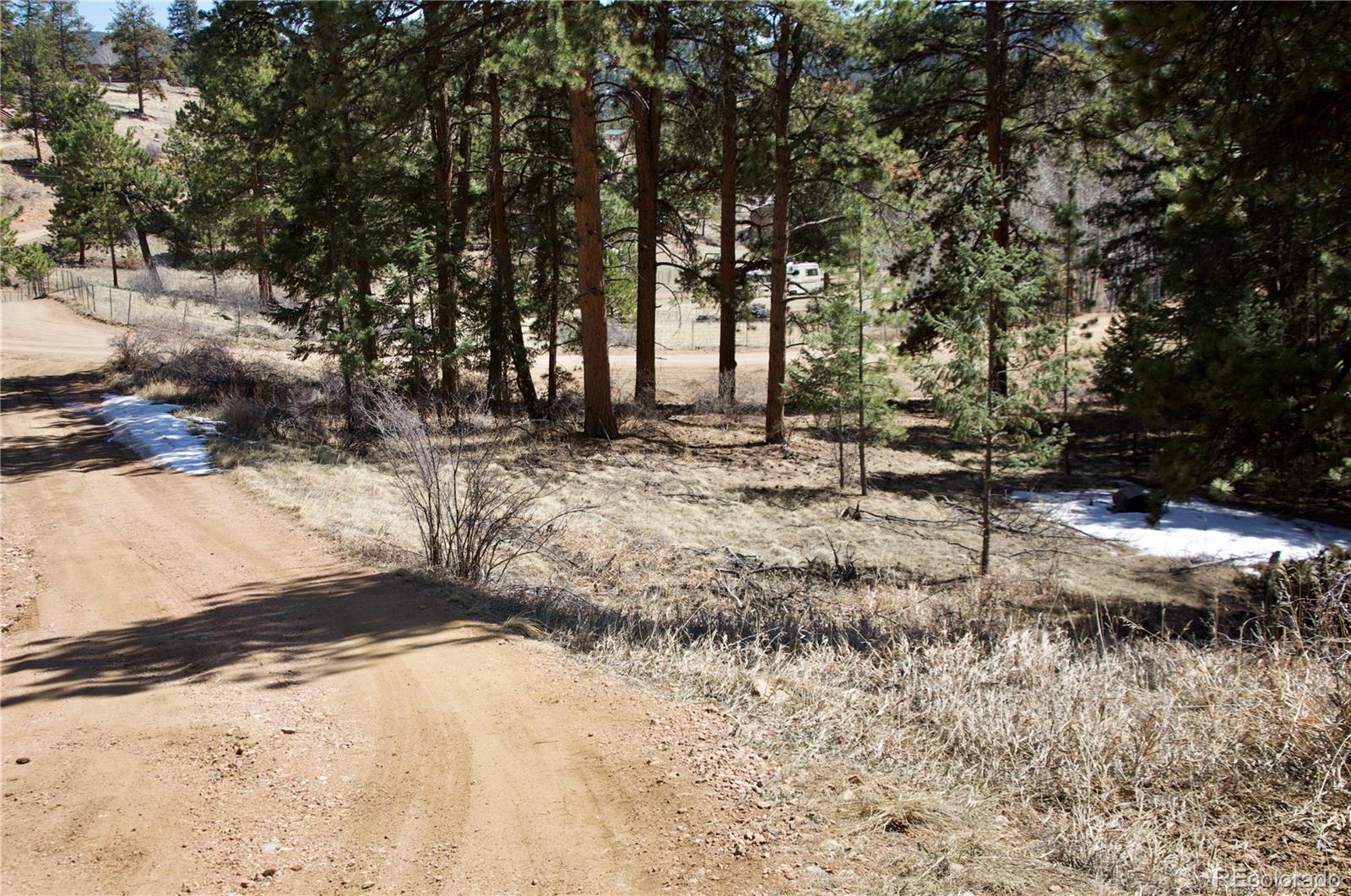 33378 Jenifer Road Pine, CO 80470 - Photo 14 of 20 Gallery Image 14