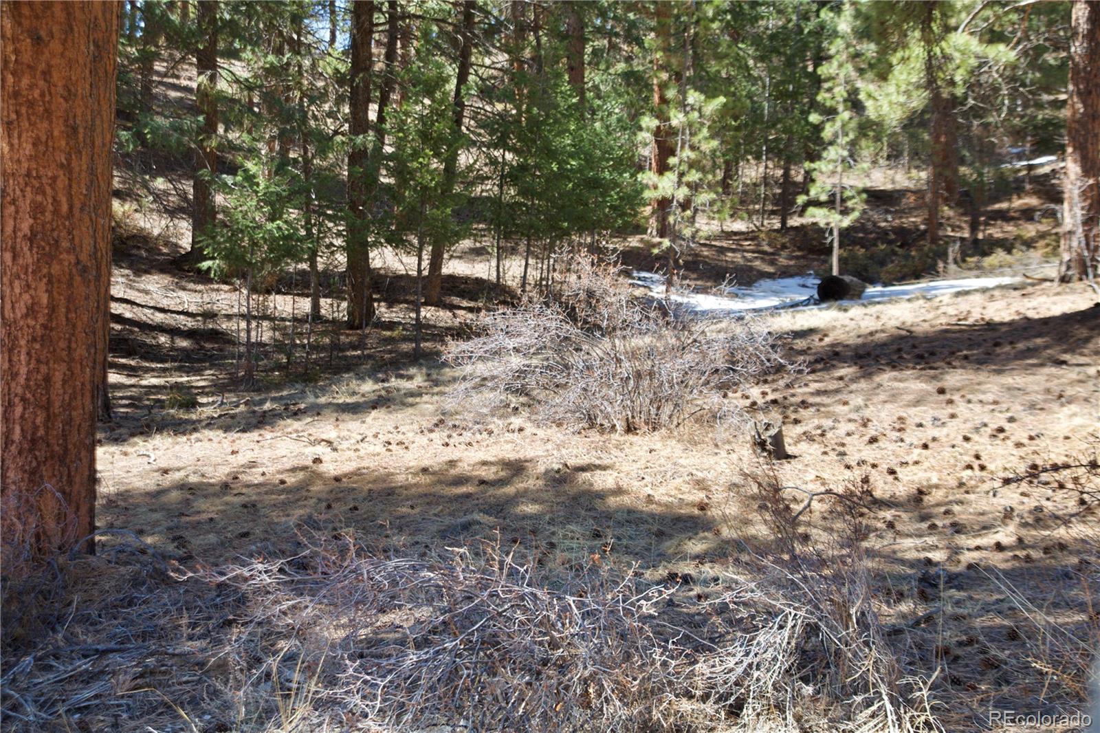 33378 Jenifer Road Pine, CO 80470 - Photo 15 of 20 Gallery Image 15