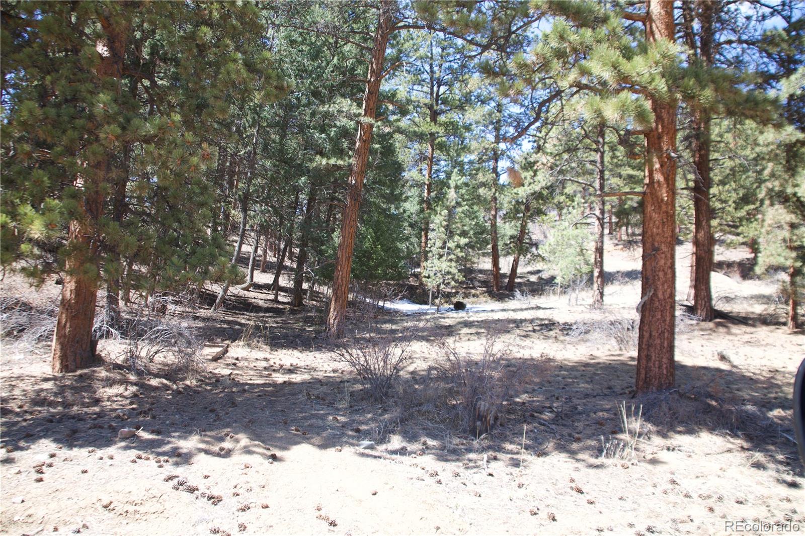 33378 Jenifer Road Pine, CO 80470 - Photo 2 of 20 Gallery Image 2