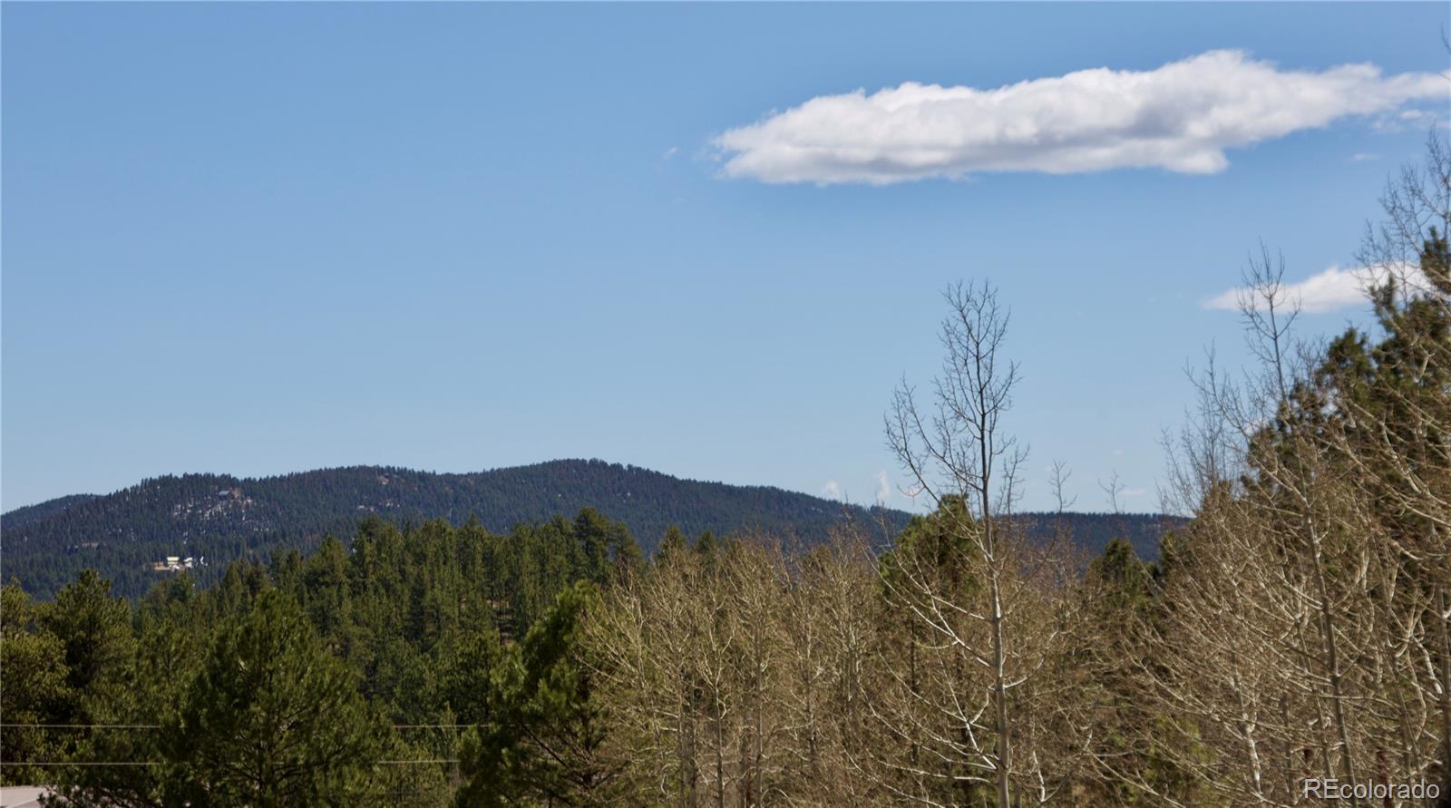 33378 Jenifer Road Pine, CO 80470 - Photo 3 of 20 Gallery Image 3