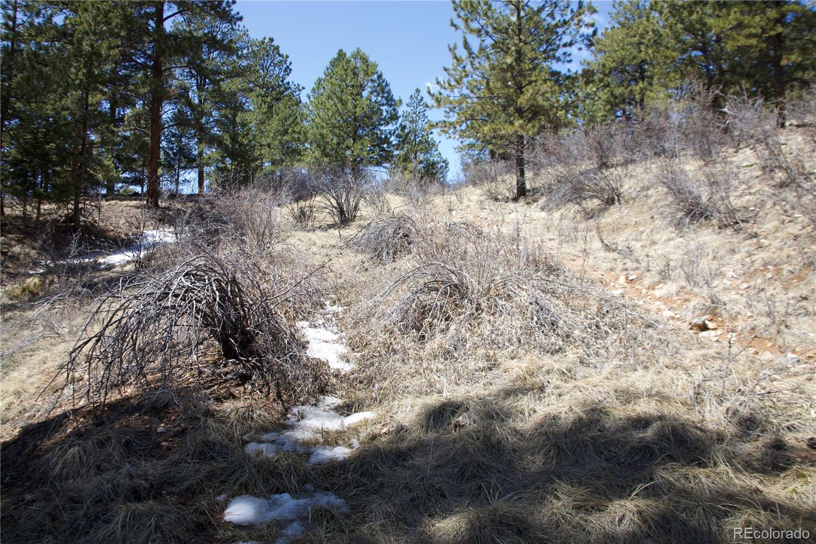 33378 Jenifer Road Pine, CO 80470 - Photo 5 of 20 Gallery Image 5