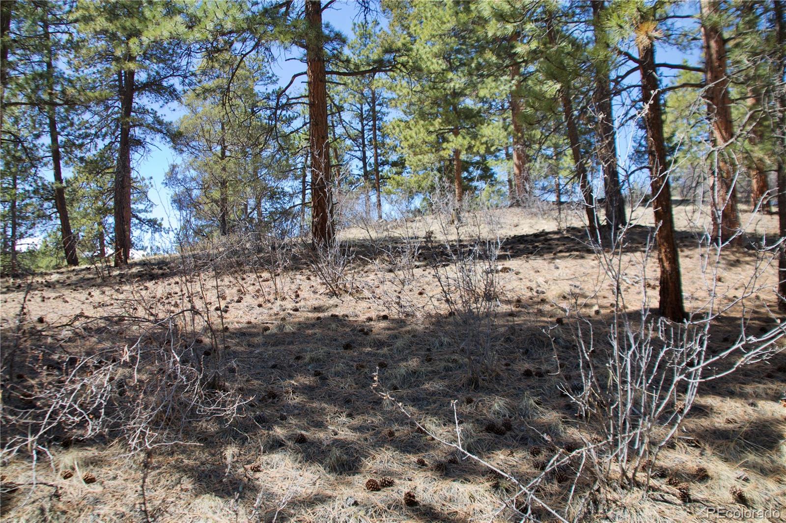 33378 Jenifer Road Pine, CO 80470 - Photo 7 of 20 Gallery Image 7