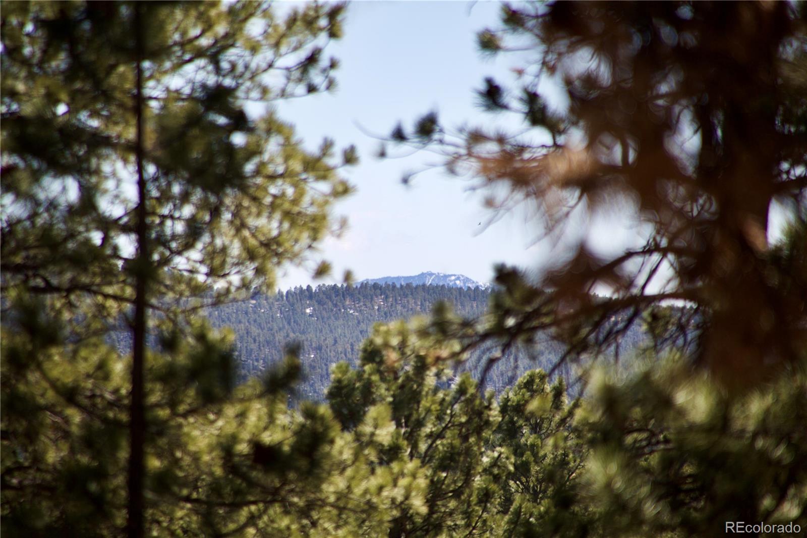 33378 Jenifer Road Pine, CO 80470 - Photo 9 of 20 Gallery Image 9