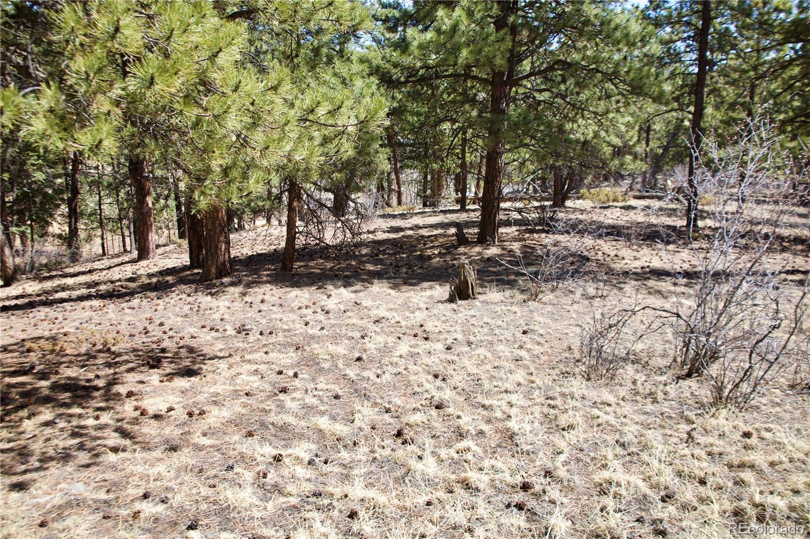 33378 Jenifer Road Pine, CO 80470 - Photo 10 of 20 Gallery Image 10