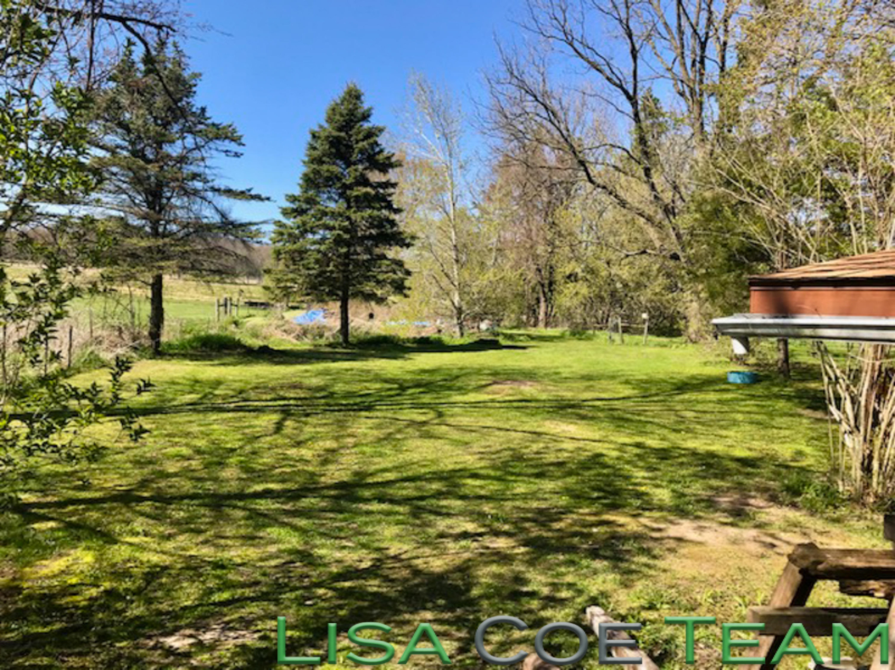 1185 North State Road Ionia, MI 48846 - Photo 17 of 32 1185 N state st, lisa coe-13