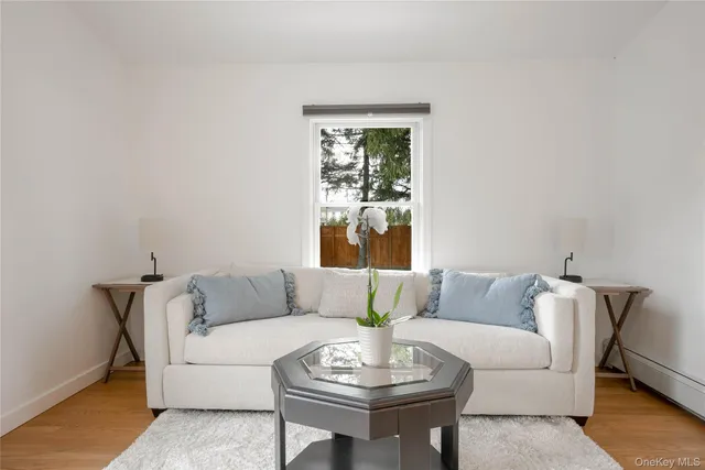 a living room with furniture and a potted plant