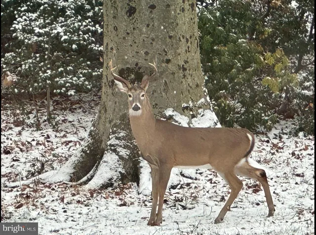 $600,000 | 129 Duncannon Road, Bel Air, MD 21014