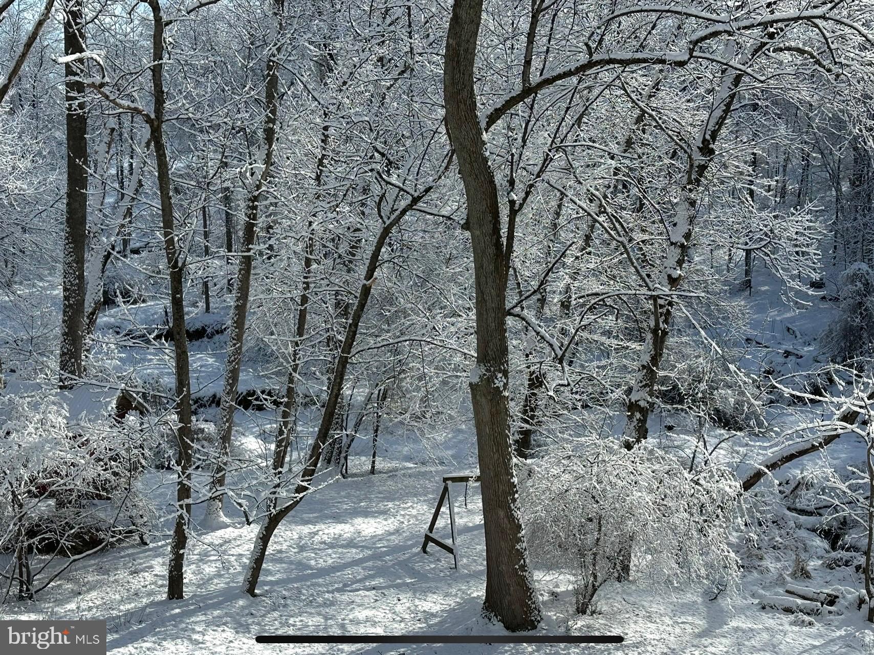 129 Duncannon Road Bel Air, MD 21014 - Photo 48 of 50 a view of a forest filled with trees