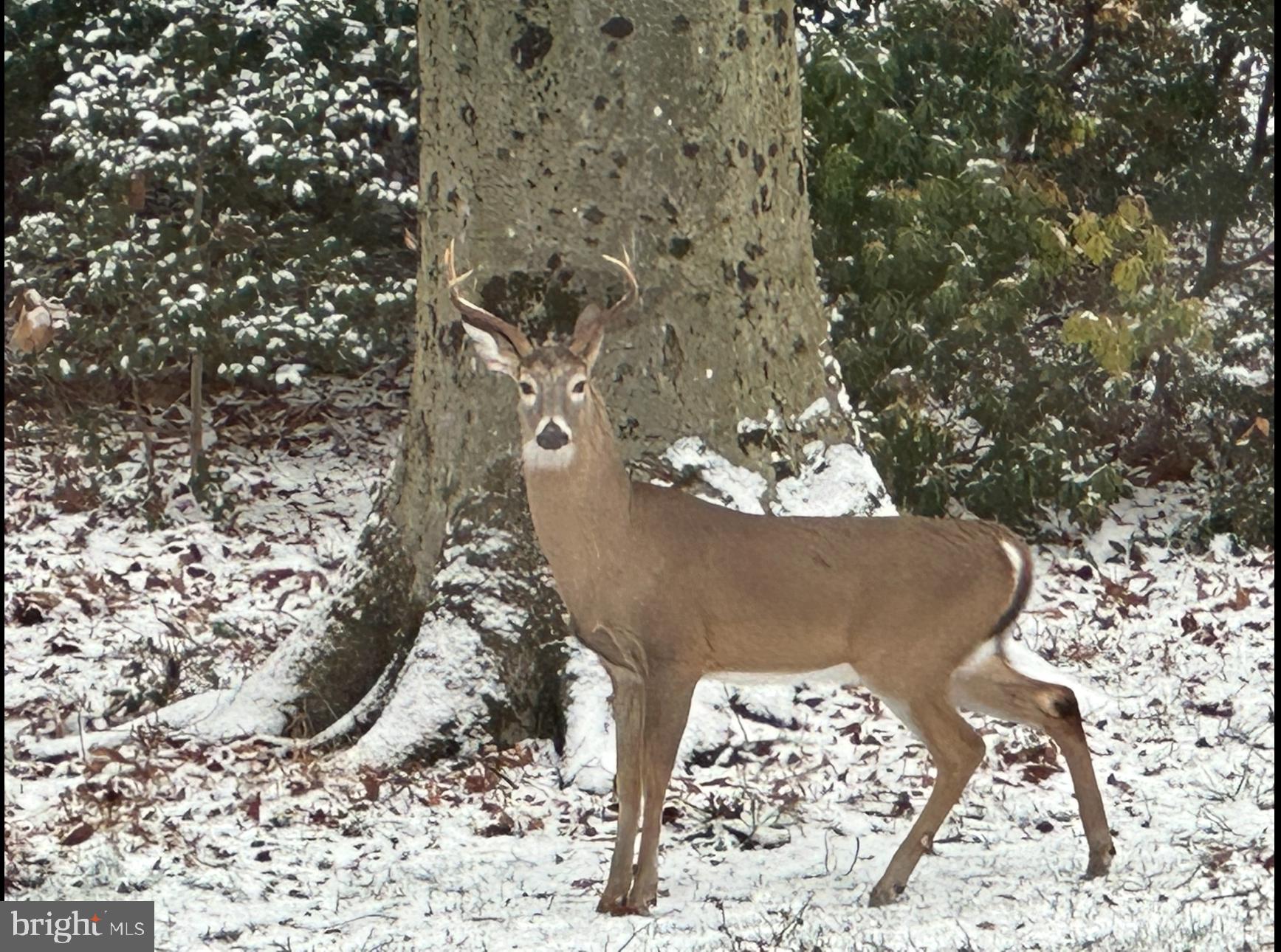129 Duncannon Road Bel Air, MD 21014 - Photo 49 of 50