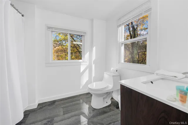 a bathroom with a sink and a toilet