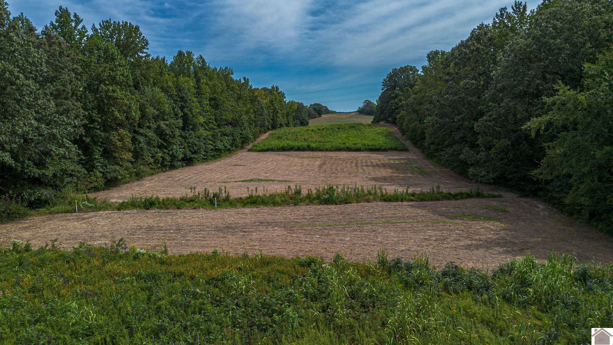 0 Corinth Church Road Grand Rivers, KY 42045 - Photo 39 of 49 Photo 39