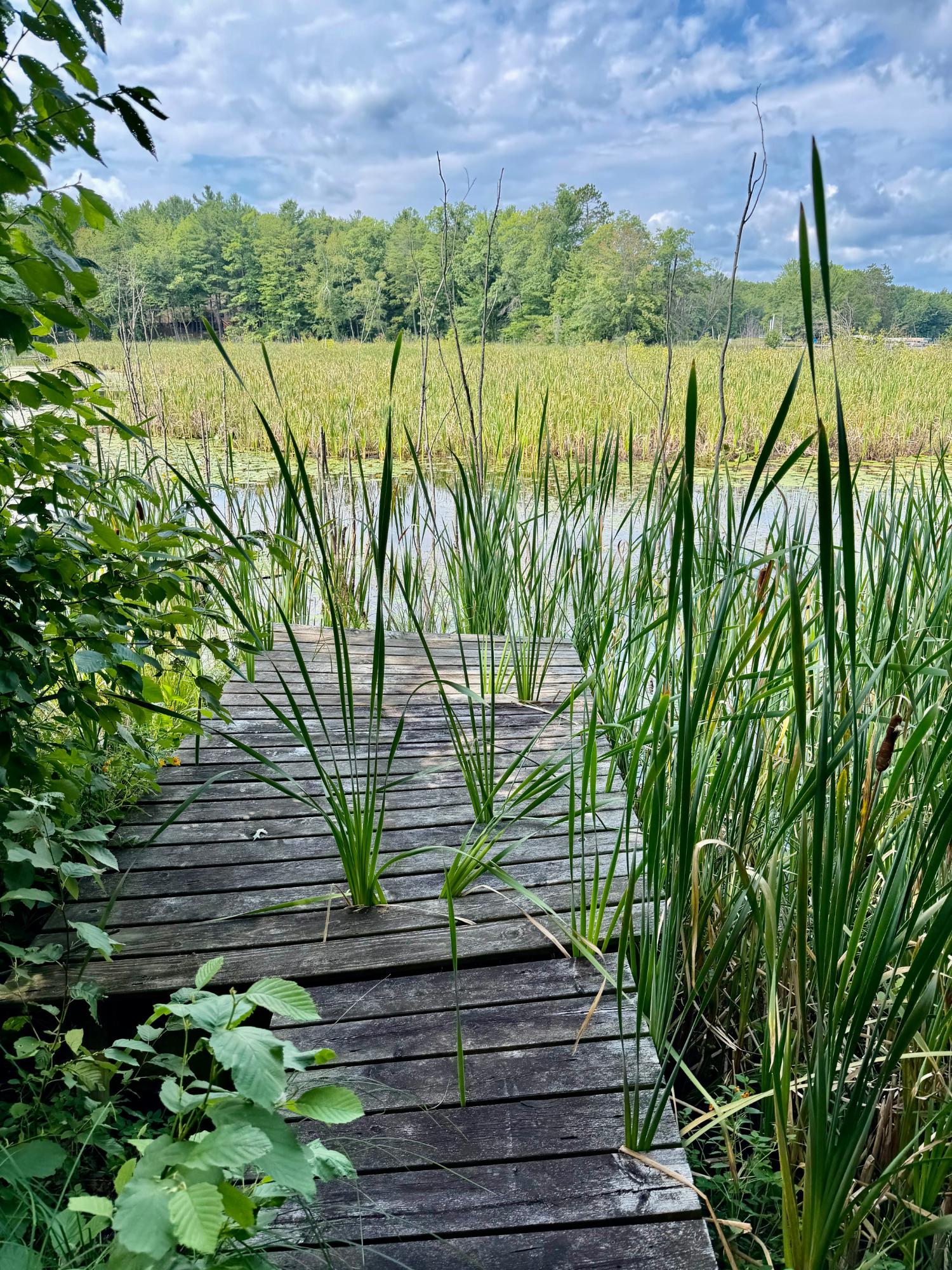 17151 Archibald Lake Road Mountain, WI 54149 - Photo 16 of 16 Gallery Image 16