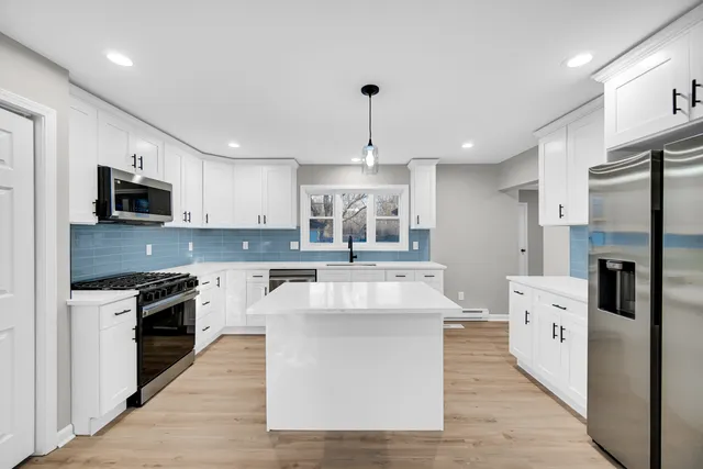 $319,900 | 459 North School Street, Braidwood, IL 60408