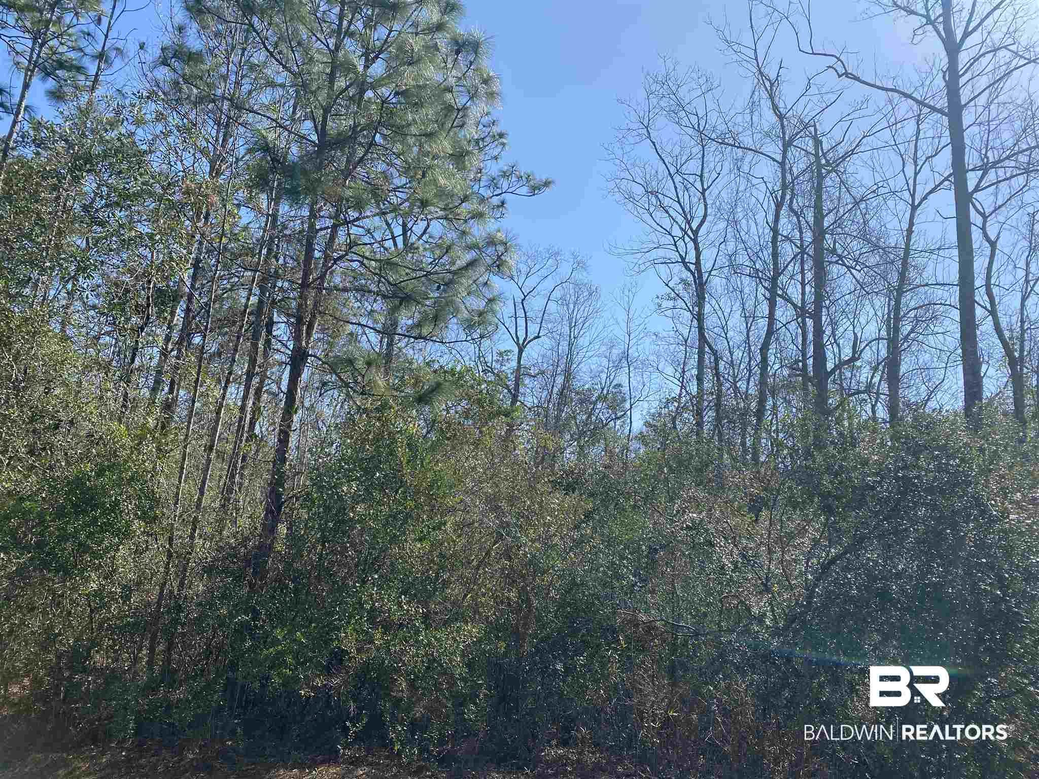 Timber Ridge Drive Loxley, AL 36551 - Photo 10 of 11