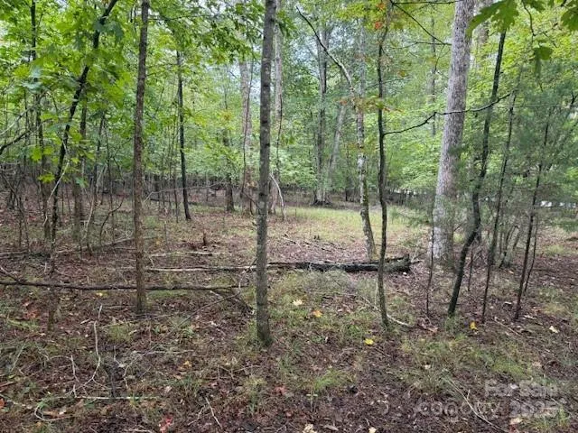 a backyard of a house with lots of plants and large trees