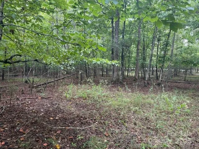 a view of a forest with trees
