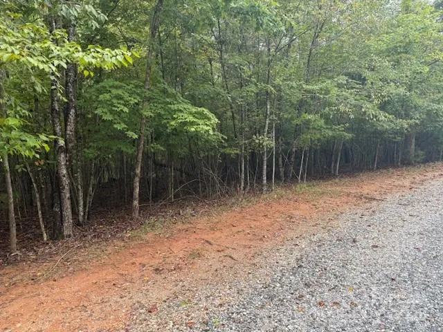 a view of a yard with trees