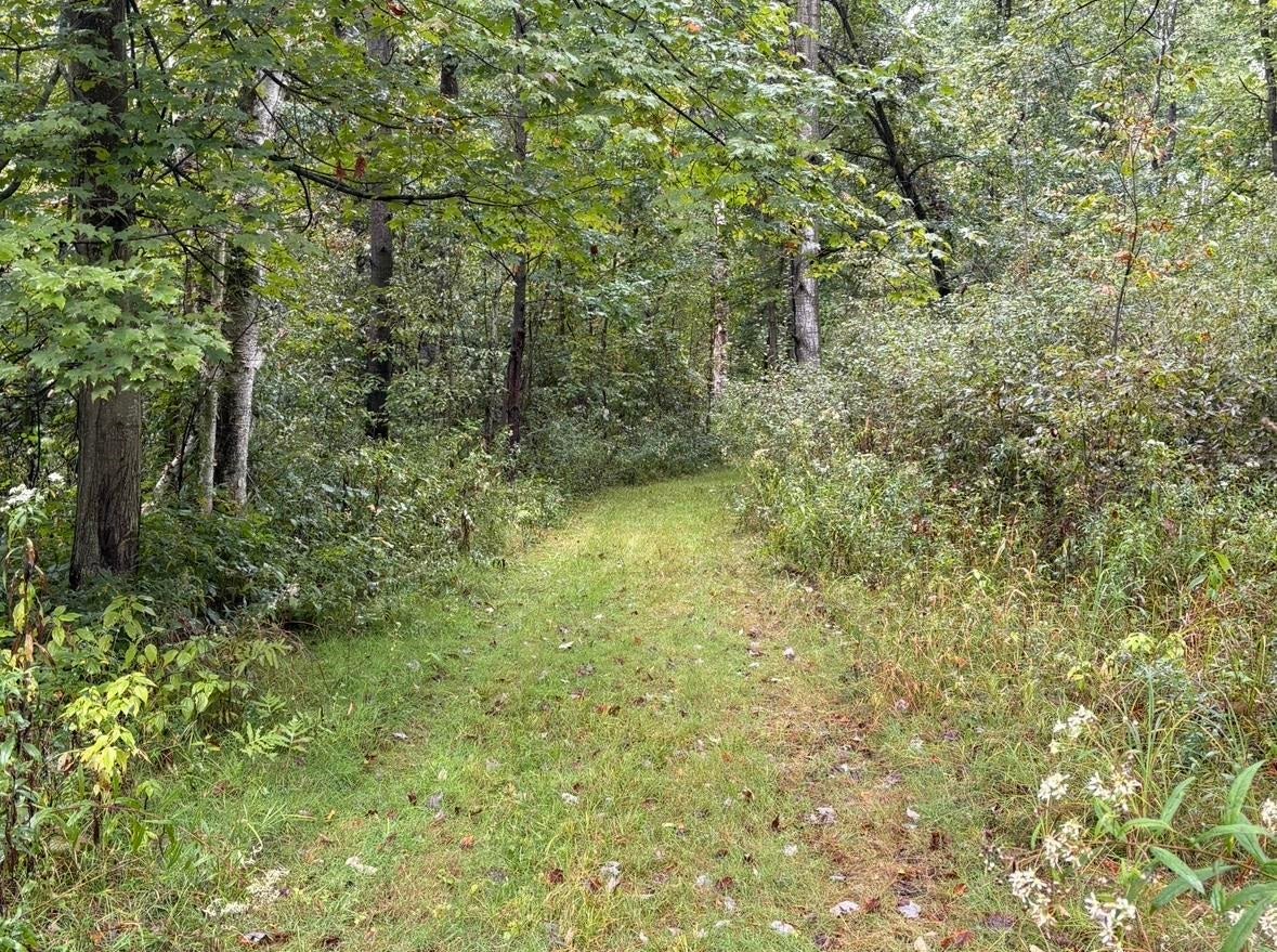 4575 Cummings Road Rhodes, MI 48652 - Photo 38 of 52 Gallery Image 38
