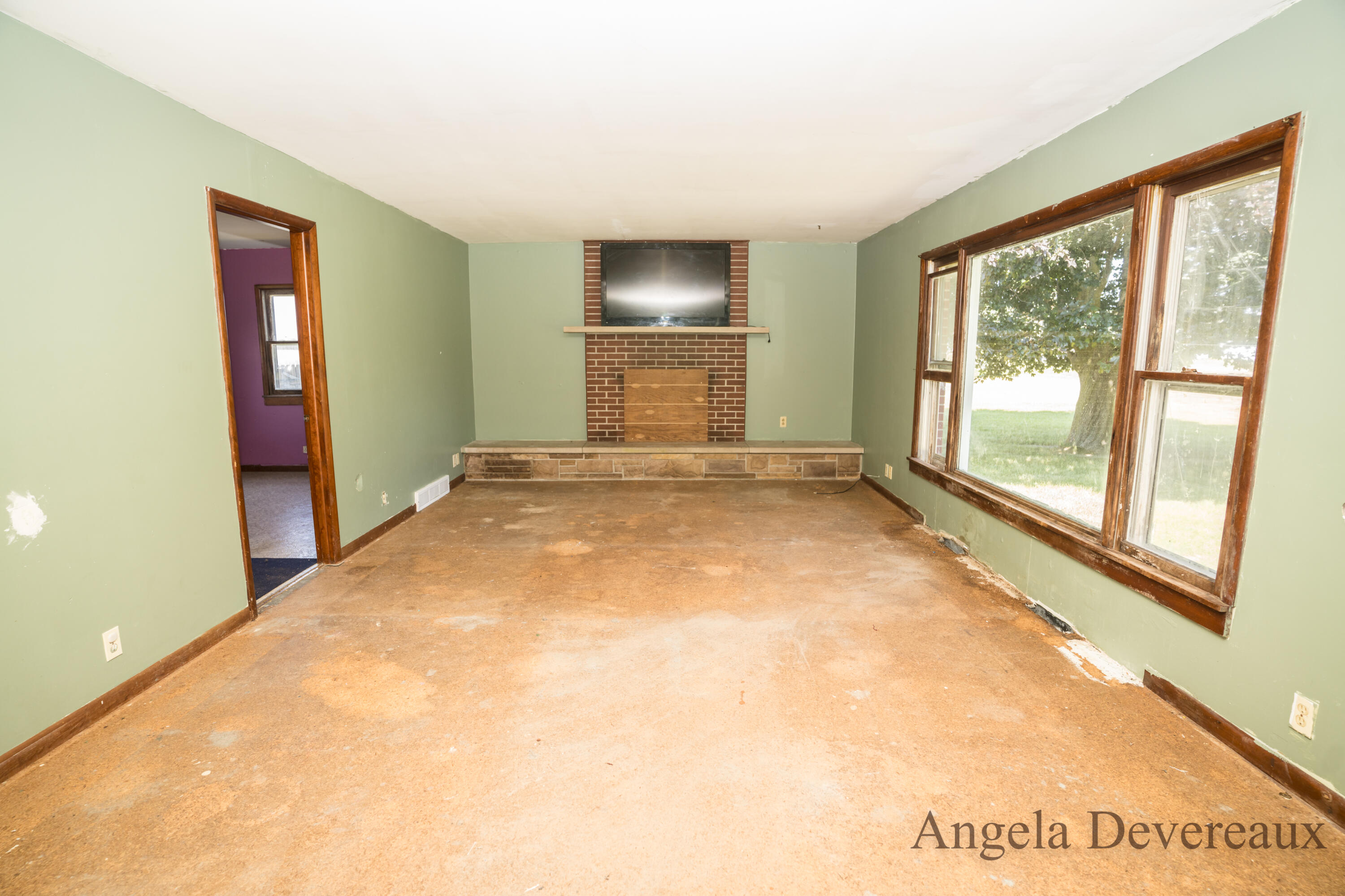3183 Belding Road Orleans, MI 48865 - Photo 9 of 30 DSC01776