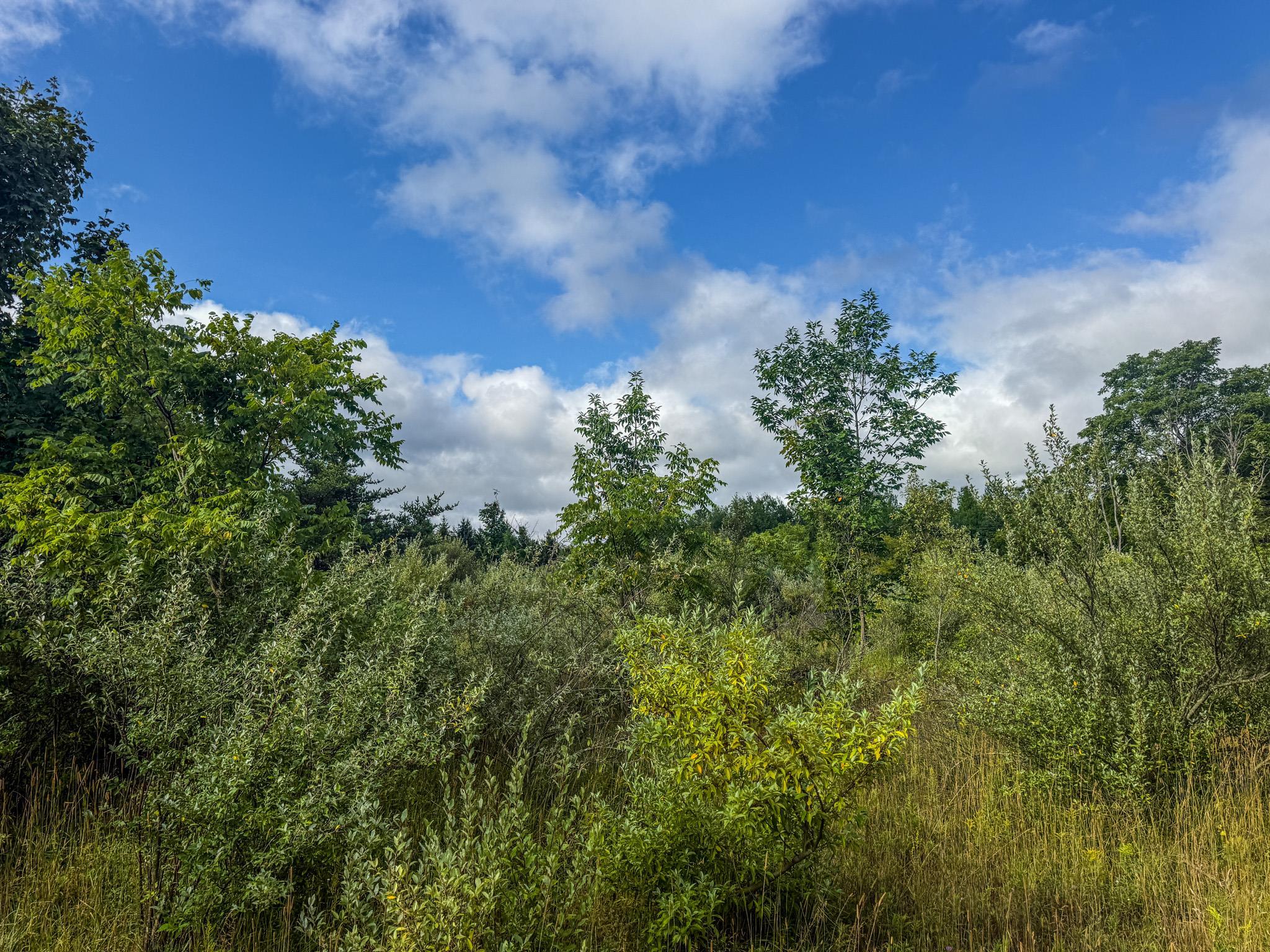 4 East Darga Road Cedar, MI 49621 - Photo 12 of 22 1949894-8f26677b-0e09-4dd2-9f3b-527199035db8.JPG