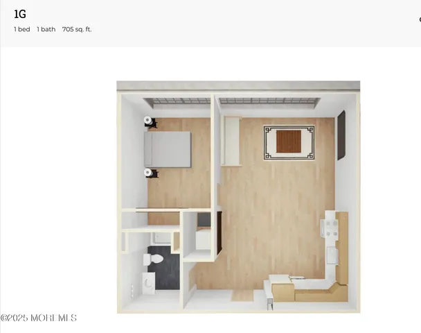 a living room with a rug and a potted plant