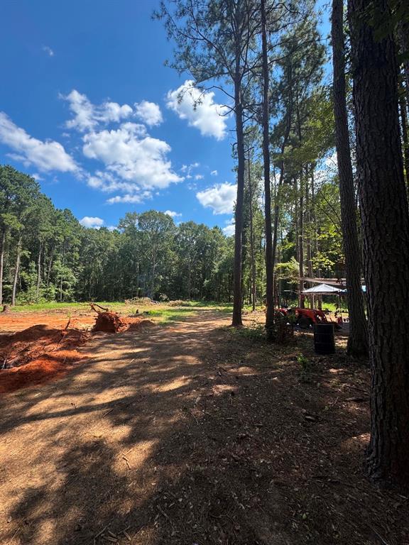 0 Oliver Road Haughton, LA 71037 - Photo 6 of 15 Gallery Image 6