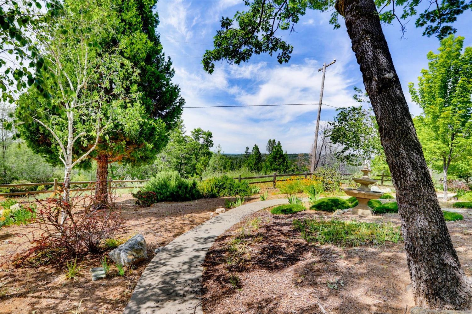 970 Morgan Ranch Drive Grass Valley, CA 95945 - Photo 51 of 76 a view of yard with green space