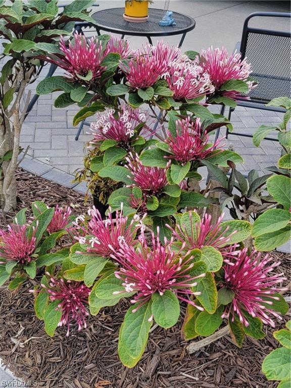 13580 Snook Circle Naples, FL 34114 - Photo 12 of 25