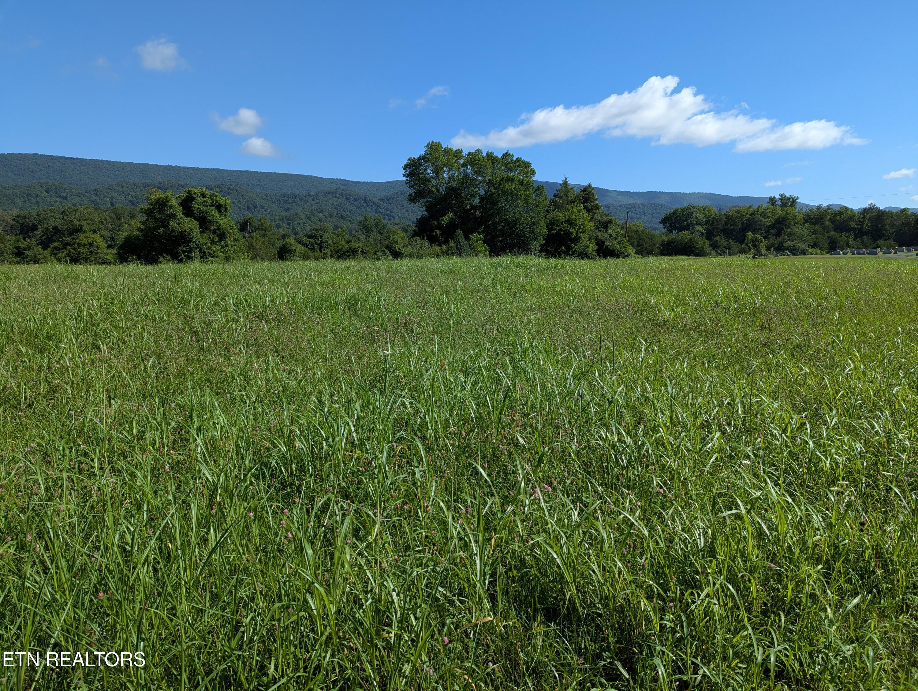 1 Doc Hill Road, Unit 49 010 Rutledge, TN 37861 - Photo 3 of 3 1000002087
