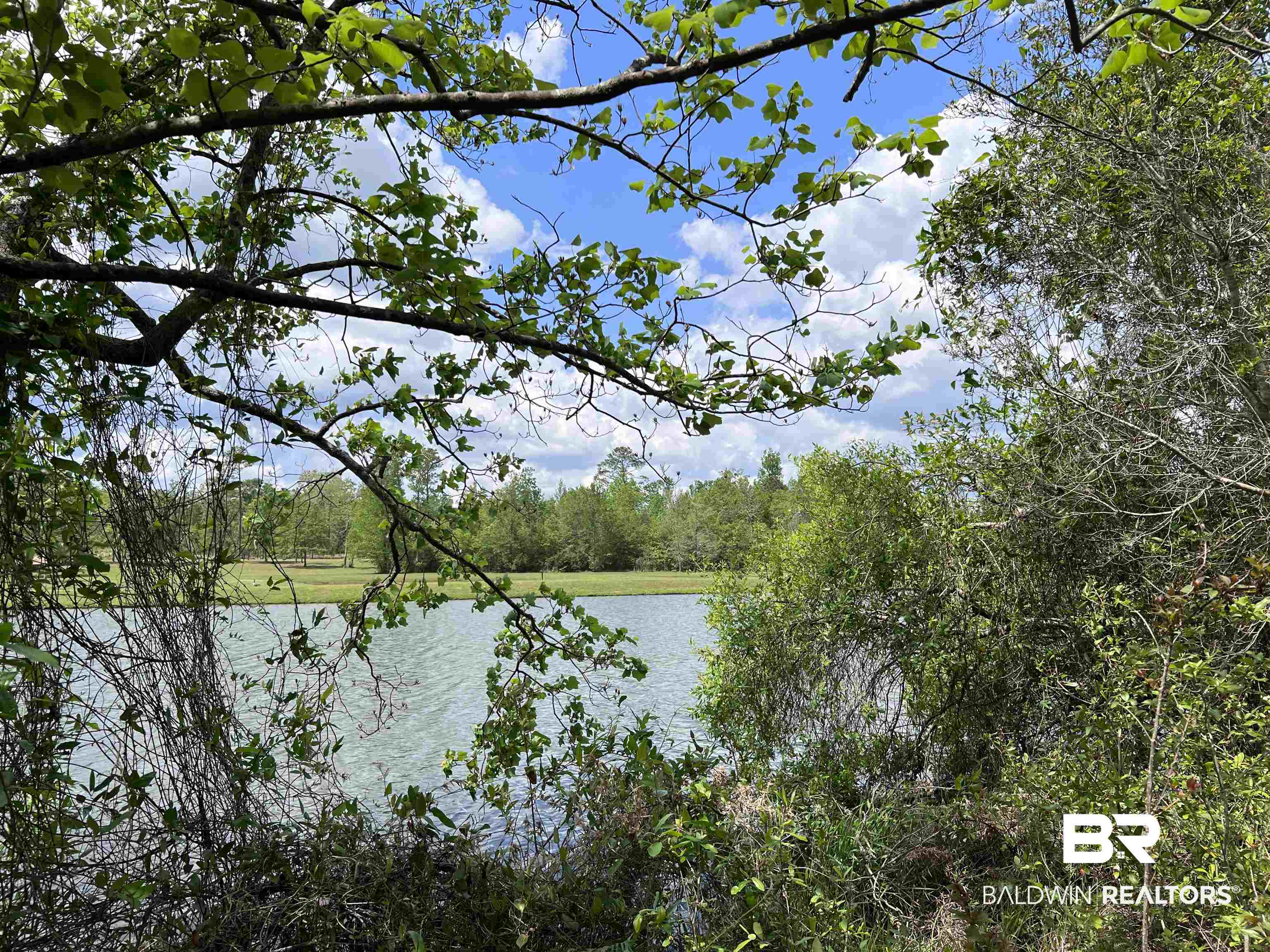 5100 Wiggins Lake Road Walnut Hill, FL 32568 - Photo 2 of 41