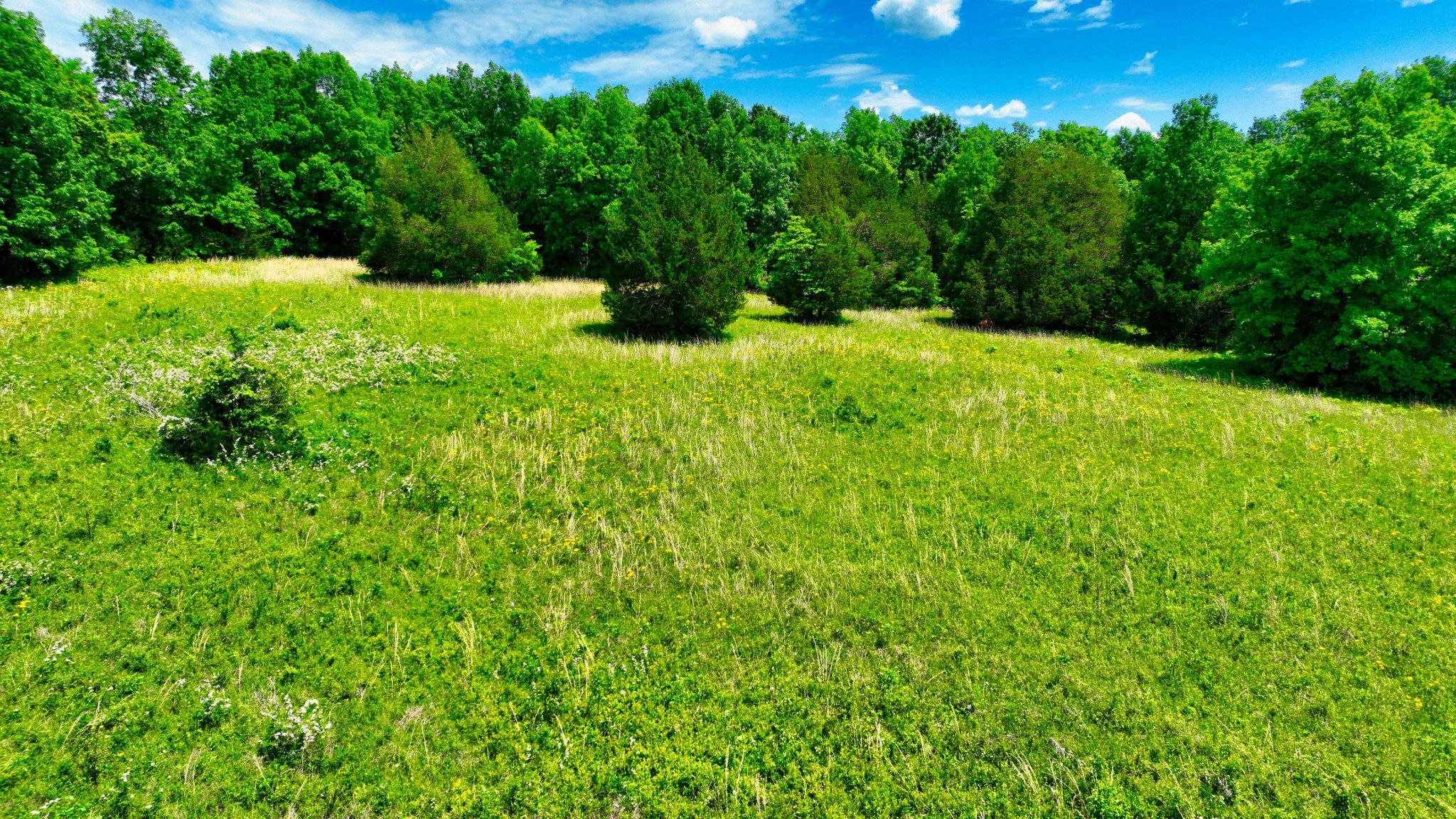 3756 East Trimble Road Milton, TN 37118 - Photo 15 of 56 Gallery Image 15
