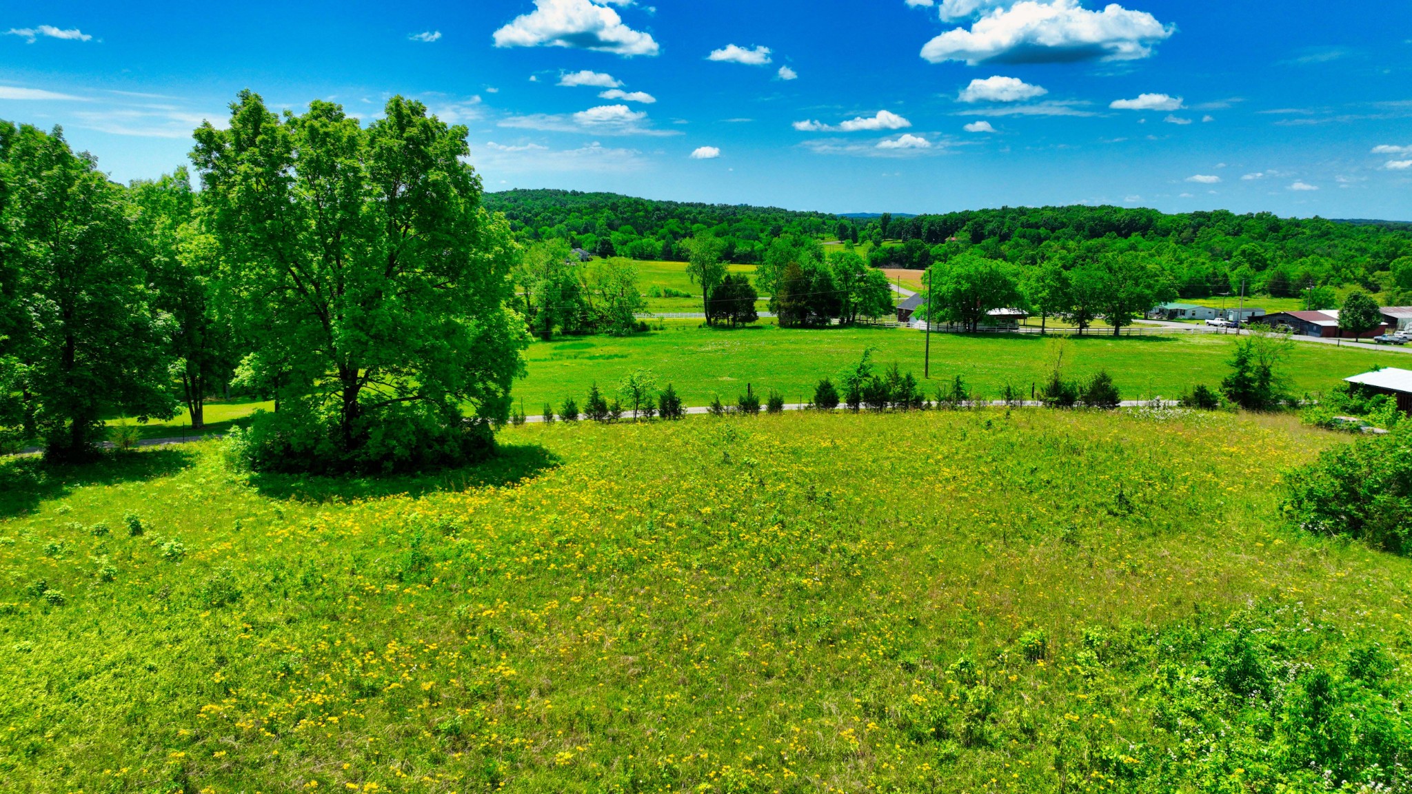 3756 East Trimble Road Milton, TN 37118 - Photo 17 of 56 Gallery Image 17