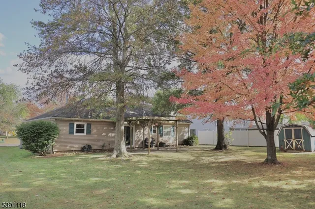 a view of a yard with plants and a bench