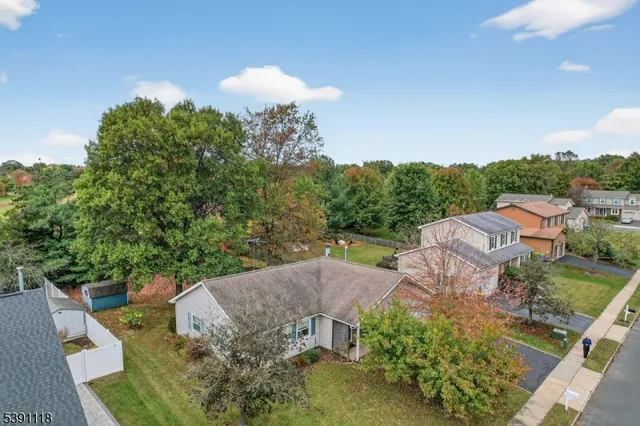 a aerial view of a house with a yard and large tree