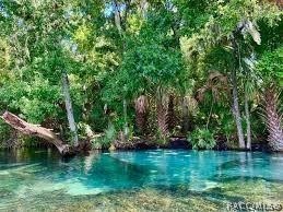 547 West Homeway Loop Citrus Springs, FL 34434 - Photo 6 of 8 RAINBOW RIVER