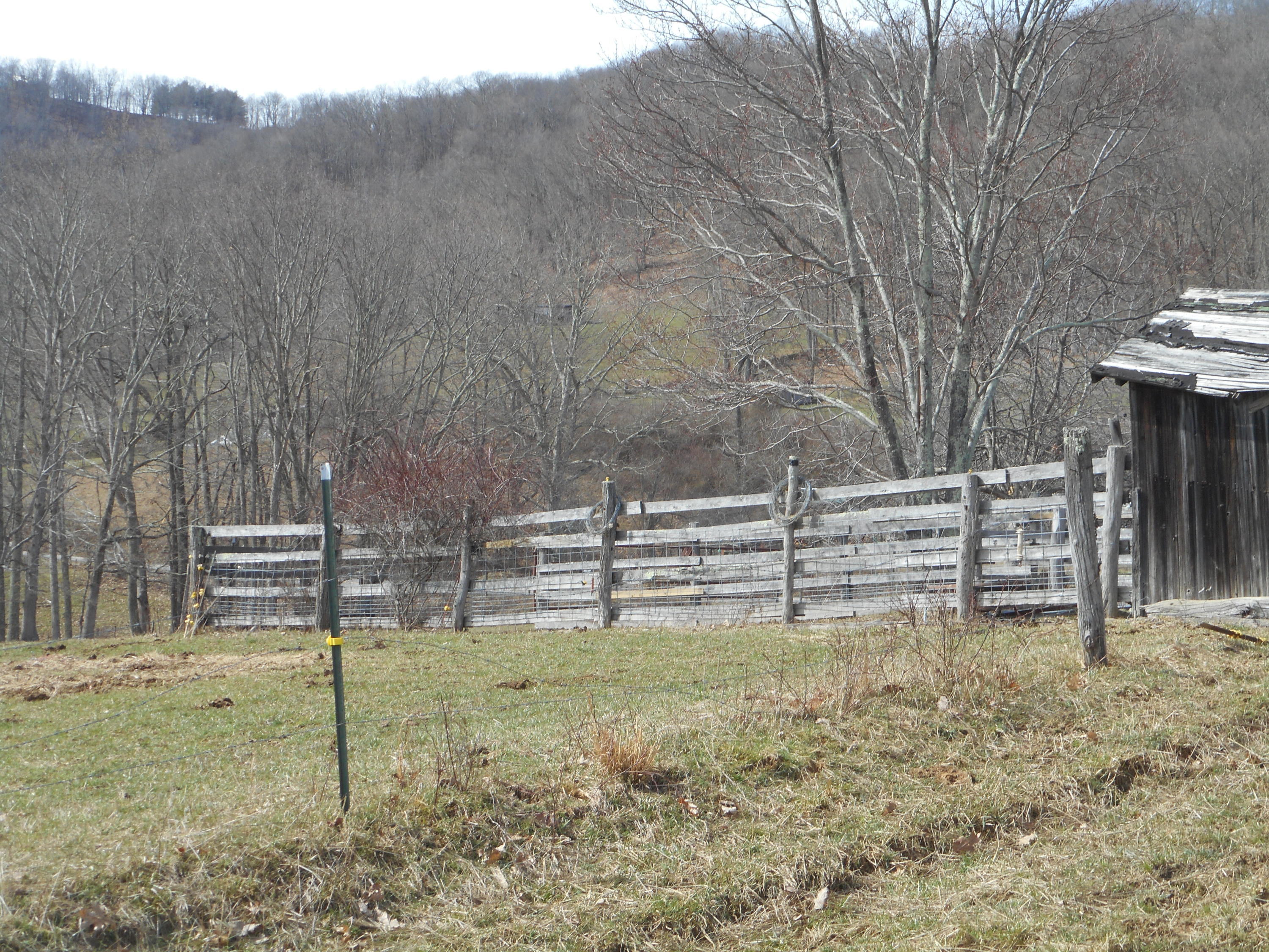 6484 Elk Knob Road Hinton, WV 25951 - Photo 3 of 25 Gallery Image 3