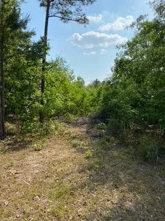 $15,000 | 0 Ann's Way, Waynesboro, GA 30830