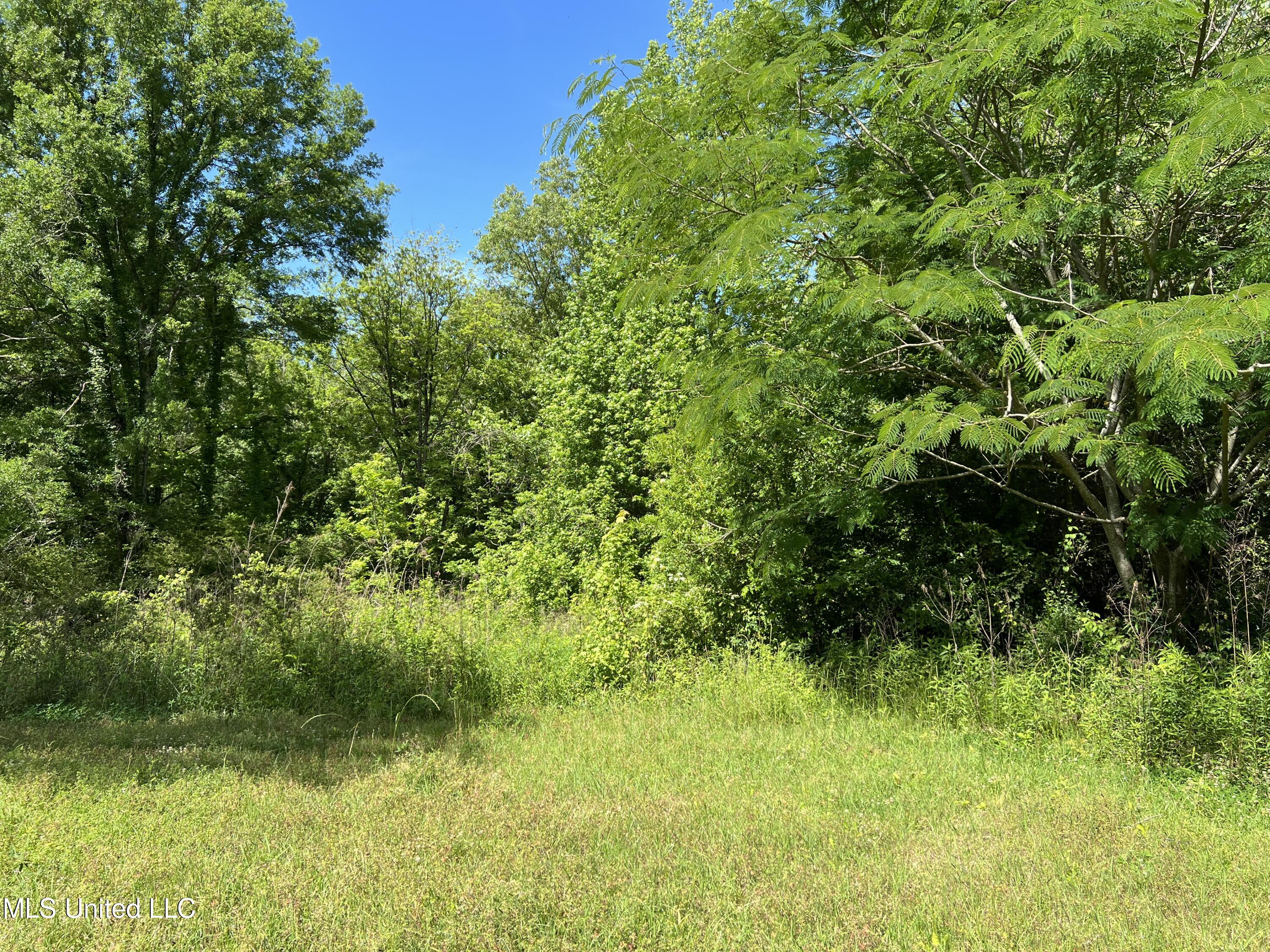 172 Tate Road Natchez, MS 39120 - Photo 11 of 12 IMG_9945
