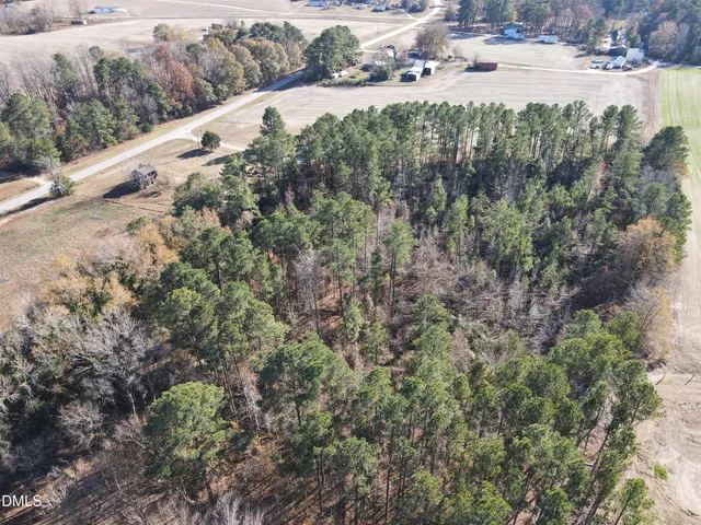 a view of a yard with plants and a bench