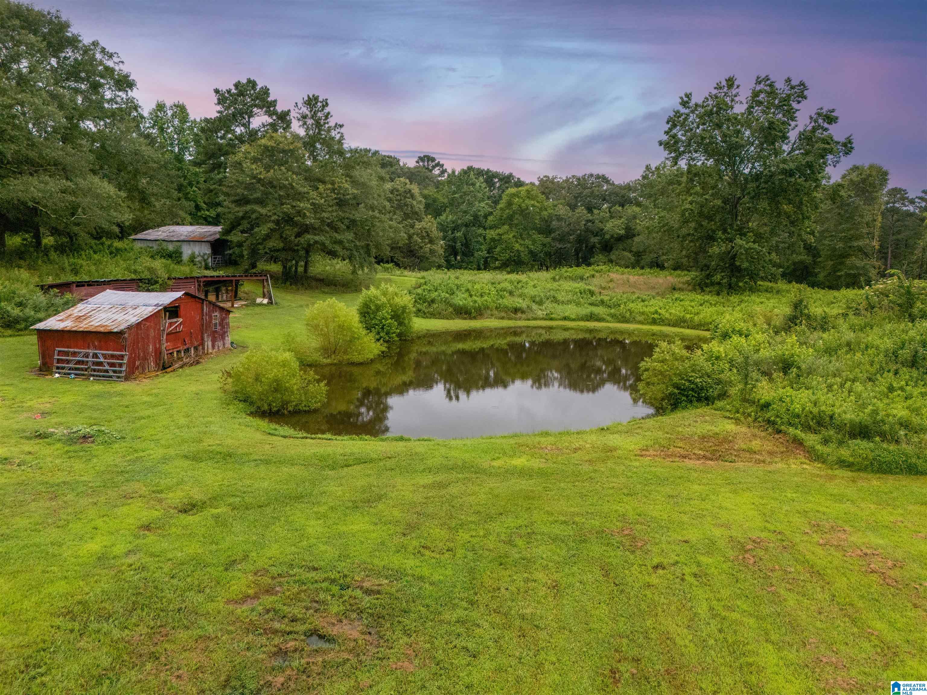 7780 Gallant Road Gallant, AL 35972 - Photo 3 of 17