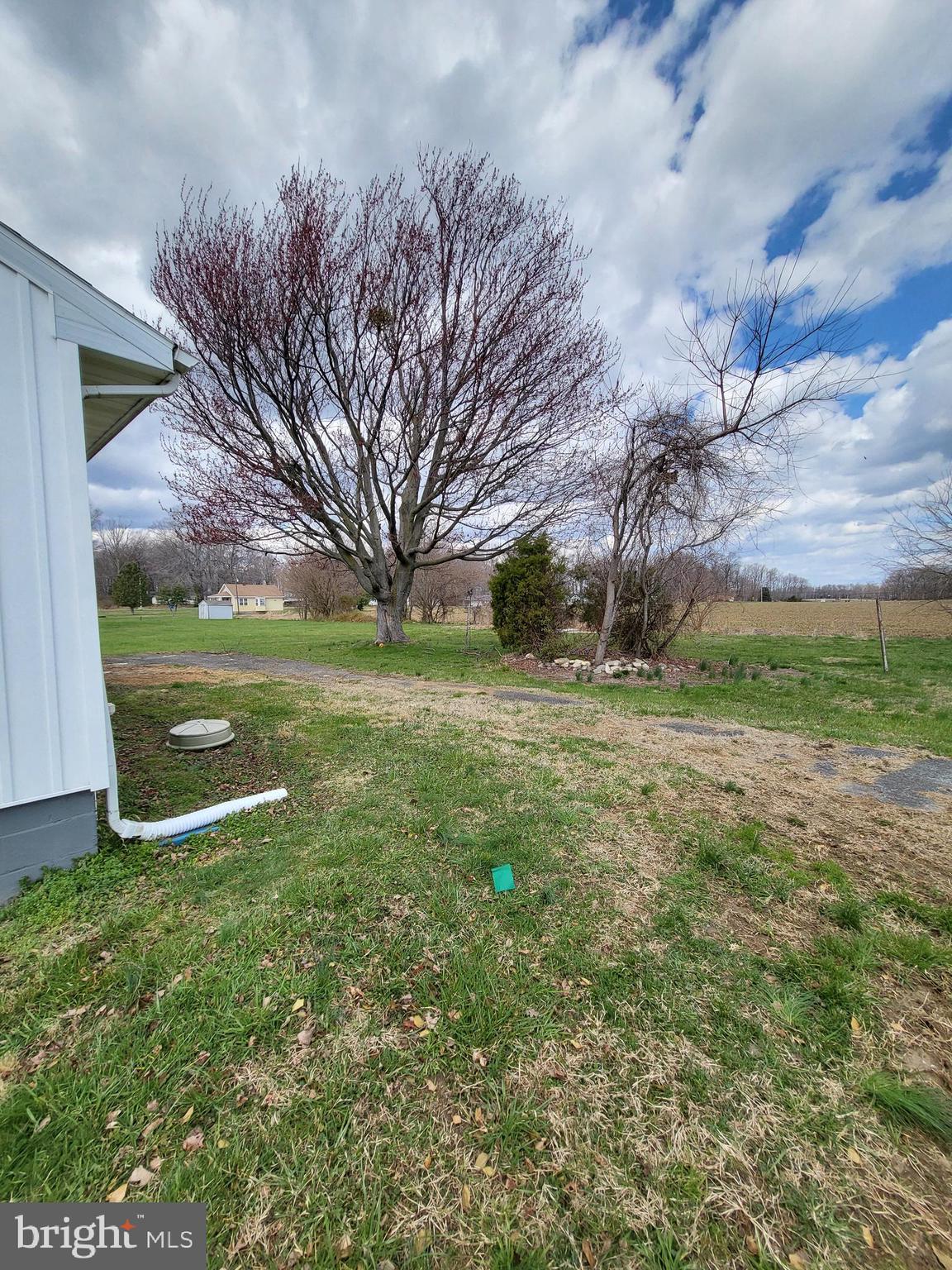 955 Kitts Hummock Road Dover, DE 19901 - Photo 14 of 16 a view of a field with a tree