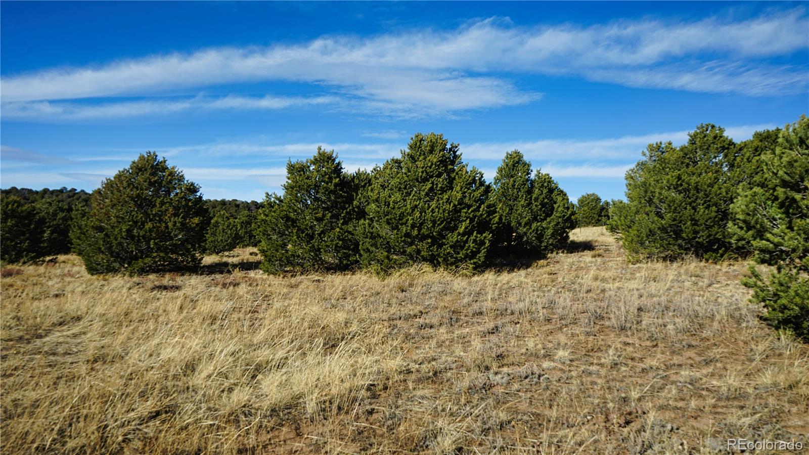 37 Navajo Ranch, Unit 4 Walsenburg, CO 81089 - Photo 13 of 20