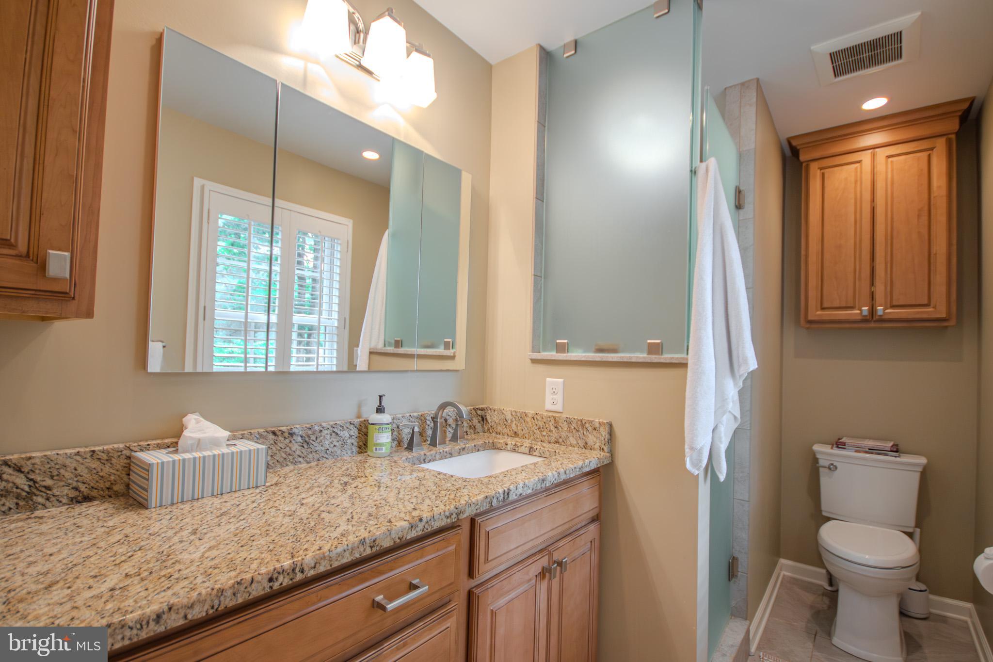 29745 Jackson Road Salisbury, MD 21804 - Photo 31 of 77 Primary bath with huge recessed medicine cabinet