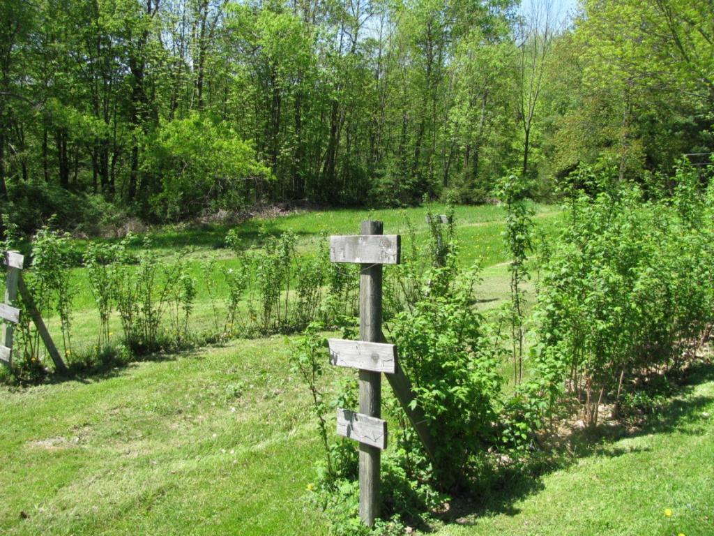 118 Dilly Road Port Crane, NY 13833 - Photo 12 of 17 Gallery Image 12
