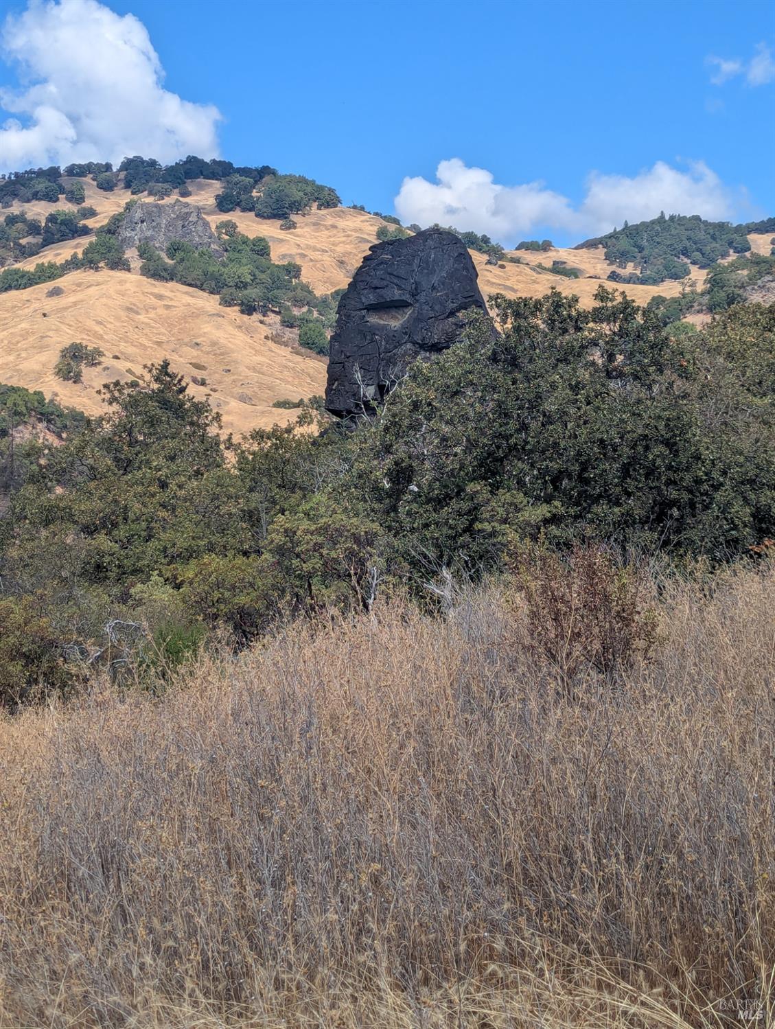 59002 George Washington Rock Road Laytonville, CA 95454 - Photo 1 of 38 George Washington Rock. I don't get it. Looks like Kontiki or Easter Island monolith to me.