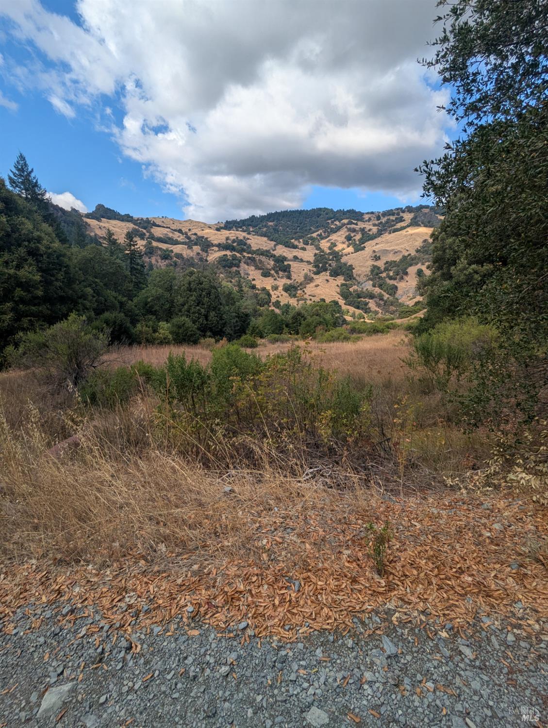 59002 George Washington Rock Road Laytonville, CA 95454 - Photo 11 of 38