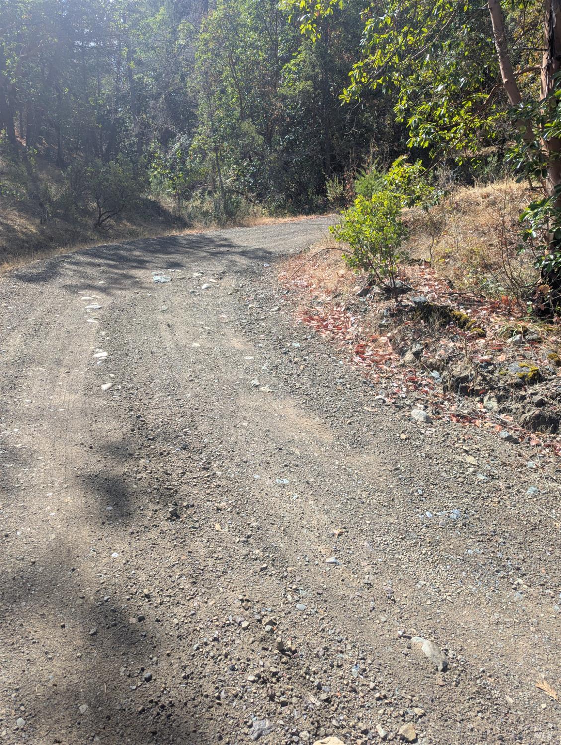 59002 George Washington Rock Road Laytonville, CA 95454 - Photo 13 of 38 Road that serves 2 other parcels to the North.