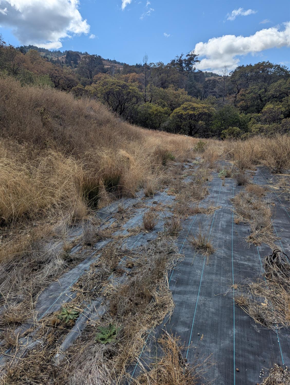 59002 George Washington Rock Road Laytonville, CA 95454 - Photo 15 of 38 Cleaned up agricultural site.